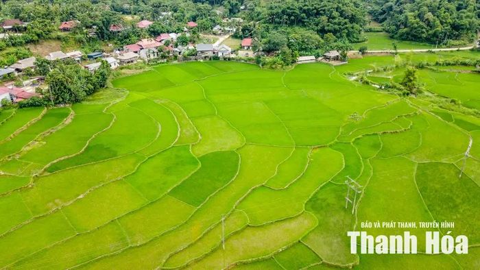 Trước đây, cuộc sống của người dân chủ yếu dựa vào nương rẫy và sản vật từ rừng. Ít ai ngờ chính vẻ đẹp nguyên sơ cùng những giá trị văn hóa được gìn giữ qua nhiều thế hệ lại trở thành nền tảng để Chiếng Ngày phát triển du lịch hôm nay.