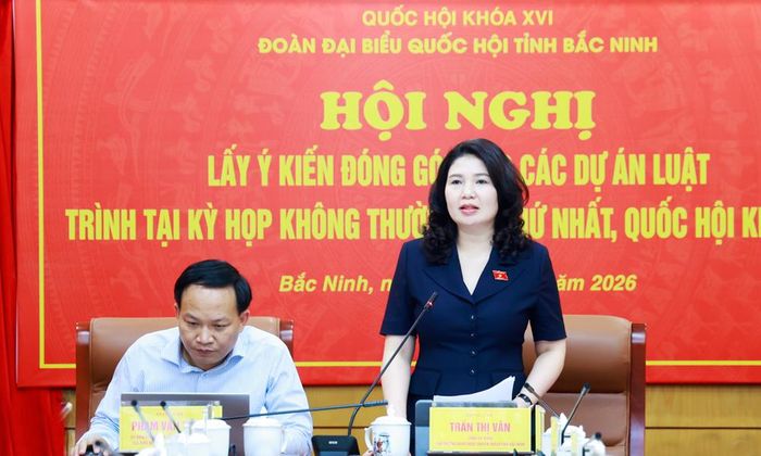  Đồng chí Trần Thị Vân phát biểu tại hội nghị. 