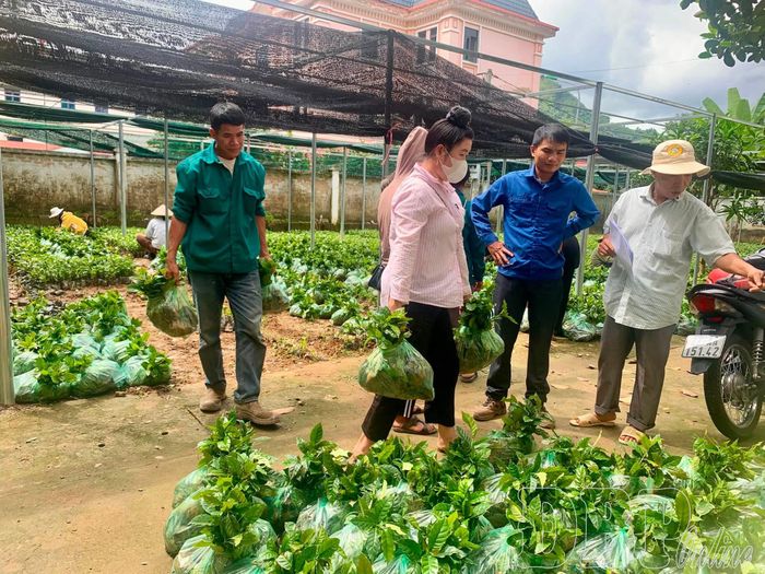 Xã Mường Ảng hỗ trợ cây giống cà phê cho các hộ dân tham gia hiến đất xây dựng Nhà máy chế biến sâu cà phê do Công ty Cổ phần Cà phê Detech đầu tư.