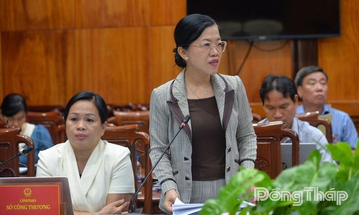 Lãnh đạo các sở, ngành trình bày các dự thảo Nghị quyết.
