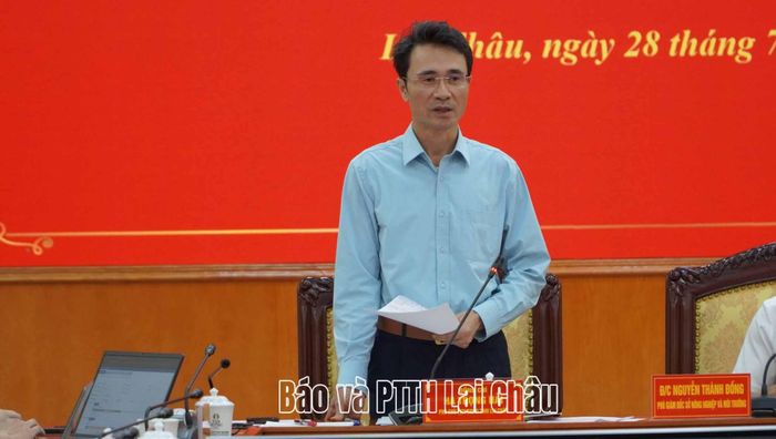Đồng chí Hà Trọng Hải - Phó Chủ tịch UBND tỉnh phát biểu kết luận hội nghị.