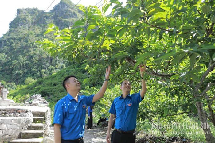 Đoàn công tác tham quan mô hình vườn na tại Lũng Than, xã Chi Lăng