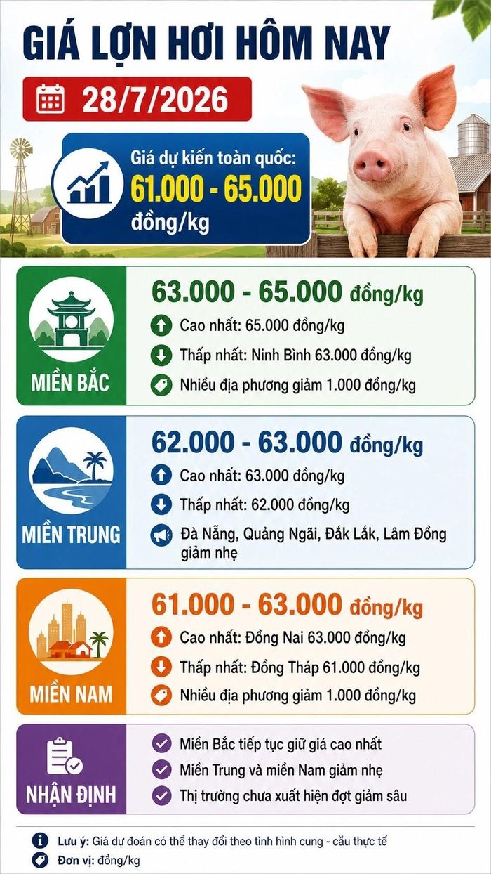 Infographic (AI)