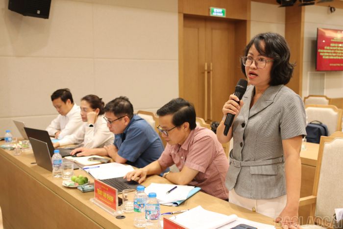 Thành viên Đoàn Giám sát phát biểu tại buổi làm việc.