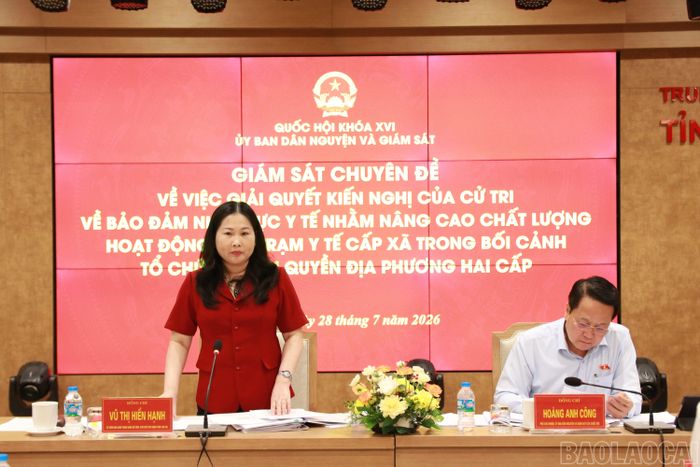 Phó Chủ tịch UBND tỉnh Vũ Thị Hiền Hạnh phát biểu tại buổi làm việc.