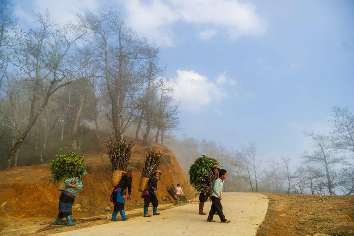 Với biển mây bốn mùa, khí hậu mát lạnh và cảnh sắc nguyên sơ, nơi đây đang trở thành điểm đến lý tưởng cho những du khách yêu thiên nhiên, đam mê khám phá.
