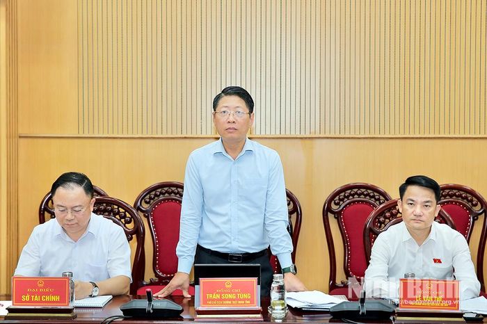 Đồng chí Phó Chủ tịch Thường trực UBND tỉnh Trần Song Tùng phát biểu tại hội nghị.