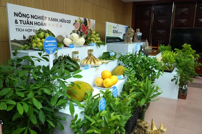 Các sản phẩm nông nghiệp xanh, hữu cơ, tuần hoàn và liên kết chuỗi giá trị tiêu biểu trưng bày tại hội nghị - Ảnh: T.Đ