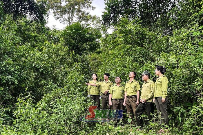 Ban Quản lý rừng đặc dụng Tà Xùa tuần tra rừng trên địa bàn xã Suối Tọ.