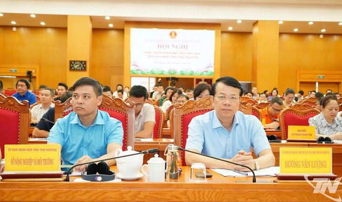 Các đồng chí lãnh đạo tỉnh và đại biểu dự Hội nghị.