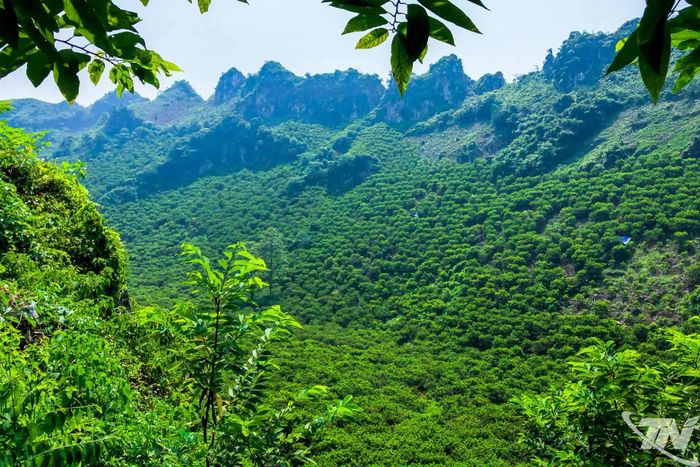  Hiện, xã La Hiên có trên 300ha na, chiếm gần 60% diện tích và hơn 65% sản lượng na khu vực phía Đông tỉnh Thái Nguyên. 