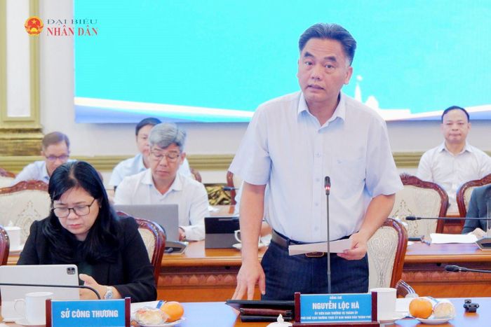 Phó Chủ tịch Thường trực UBND TP. Hồ Chí Minh Nguyễn Lộc Hà phát biểu