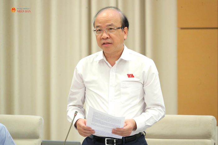 Chủ nhiệm Ủy ban Pháp luật và Tư pháp Phan Chí Hiếu trình bày báo cáo thẩm tra sơ bộ dự án Luật. Ảnh: Hồ Long