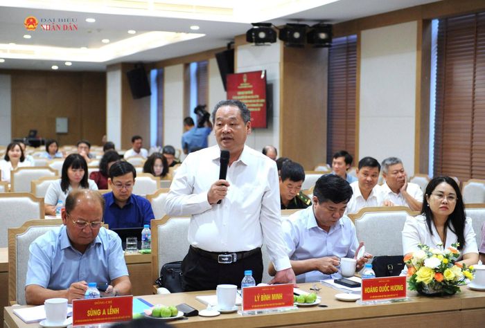 Phó Chủ tịch HĐND tỉnh Lý Bình Minh phát biểu