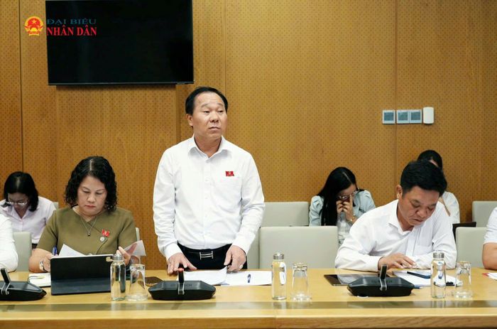 Đại biểu phát biểu thảo luận tại Tổ. Ảnh: Nguyễn Ánh