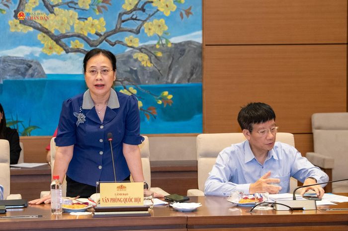 Phó Chủ nhiệm Văn phòng Quốc hội Nguyễn Thị Thúy Ngần phát biểu