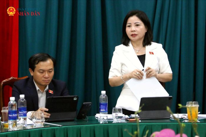 Phó Trưởng đoàn chuyên trách Đoàn đại biểu Quốc hội tỉnh Nguyễn Thị Thu Nguyệt phát biểu kết luận tại buổi khảo sát