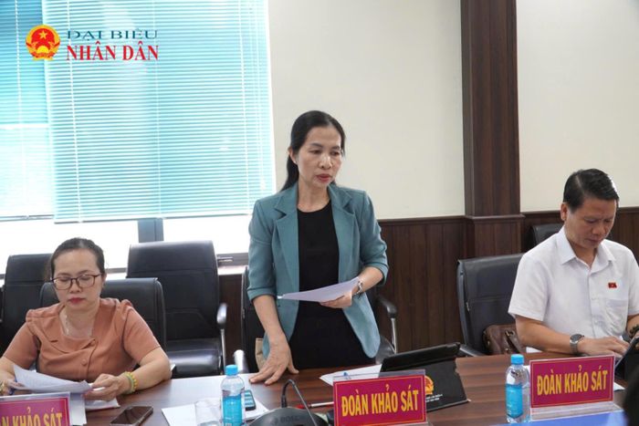 Thành viên đoàn khảo sát phát biểu tại buổi làm việc