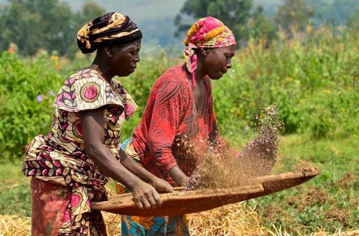 AfDB ước tính nông dân châu Phi đã mất khoảng 330 triệu USD thu nhập do các hiện tượng thời tiết cực đoan trong năm nay