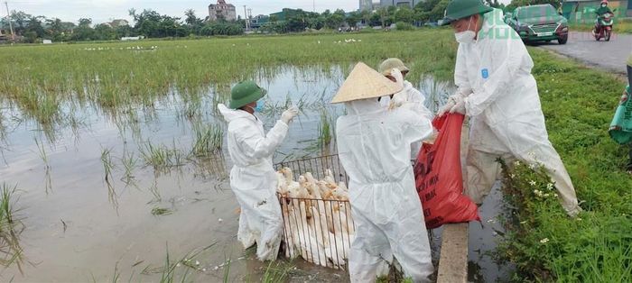 Chủ tịch UBND các xã, phường chịu trách nhiệm trước Chủ tịch UBND tỉnh nếu thiếu trách nhiệm, chủ quan, lơ là trong công tác phòng chống dịch bệnh.