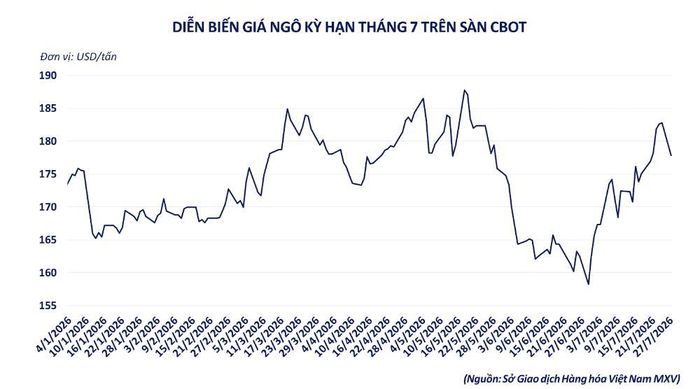 Diễn biến giá ngô kỳ hạn tháng 7 trên sàn CBOT. Nguồn: MXV