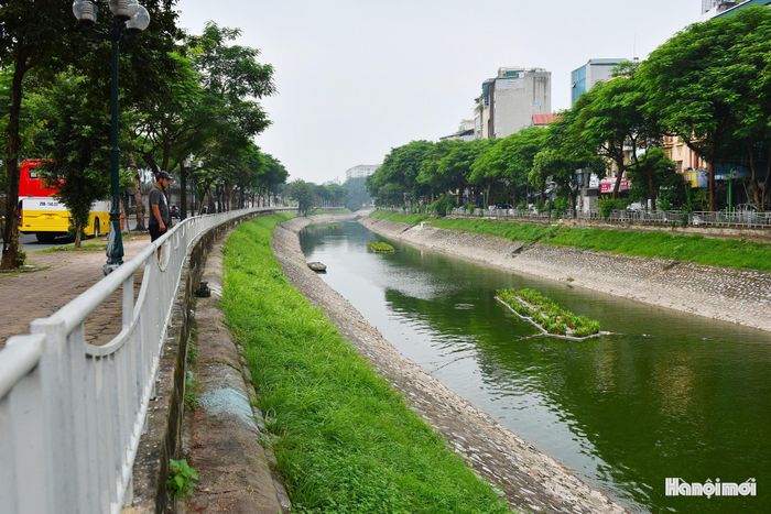 Dòng sông Tô Lịch đang dần được hồi sinh. Ảnh: Hanoimoi