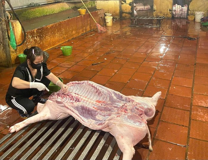 Đoàn kiểm tra phát hiện hoạt động giết mổ lợn trái quy định tại cơ sở giết mổ Đỗ Văn Hòa, thôn Trung Hà, xã Yên Lãng. Ảnh: CCCN