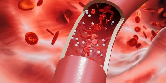 Erythritol làm giảm sự giải phóng t-PA, một hợp chất quan trọng có khả năng phá hủy các cục máu đông hình thành trong lòng mạch. Hình minh họa: Reddit