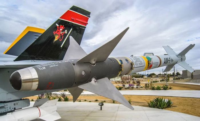 Bộ Quốc phòng Romania đang tìm kiếm các phương án đánh chặn UAV có chi phí thấp hơn. Theo kế hoạch, những tổ hợp chống UAV đầu tiên sẽ được biên chế từ năm sau, gồm 1 hệ thống do Israel chế tạo và 1 hệ thống do Romania hợp tác phát triển với Ukraine
