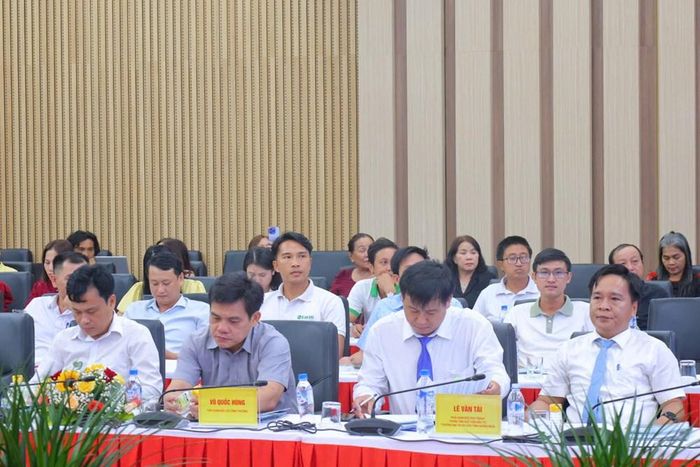 Đại biểu tham dự Hội nghị