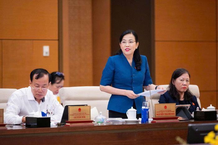 Chủ nhiệm Ủy ban Khoa học, Công nghệ và Môi trường Nguyễn Thanh Hải phát biểu
