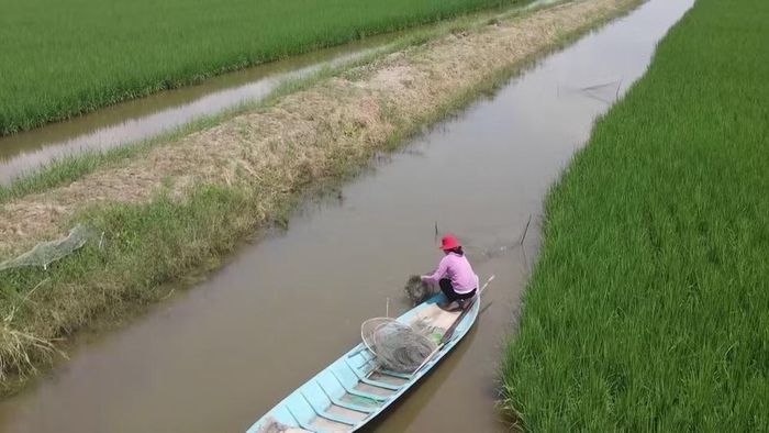  Người dân sinh sống, sản xuất dọc các tuyến kênh thuộc hệ thống thủy lợi Đồng bằng sông Cửu Long hưởng lợi từ việc vận hành công trình trên cơ sở dữ liệu quan trắc, dự báo chất lượng nước. 