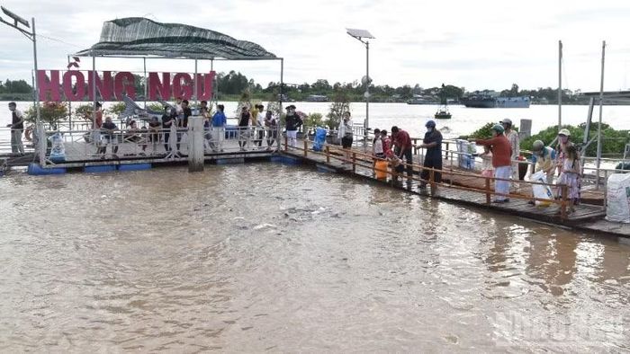 Người dân khắp nơi tìm về và cùng bảo vệ nguồn cá tại khu tái tạo nguồn lợi thủy sản này.