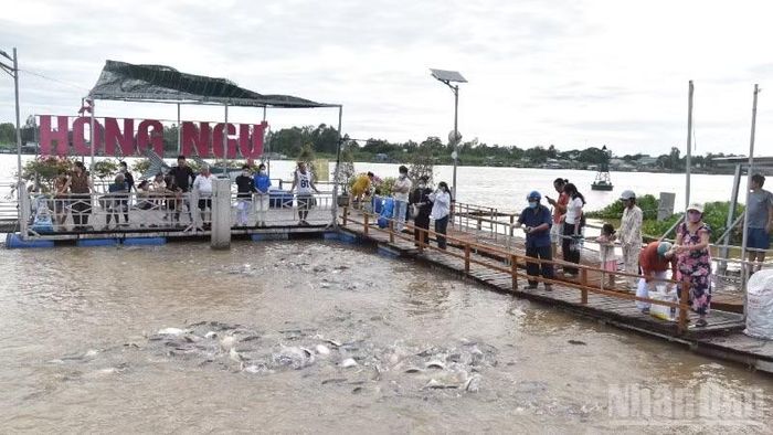 Người dân đến cho cá ăn, thư giãn rất đông vào mỗi buổi chiều.