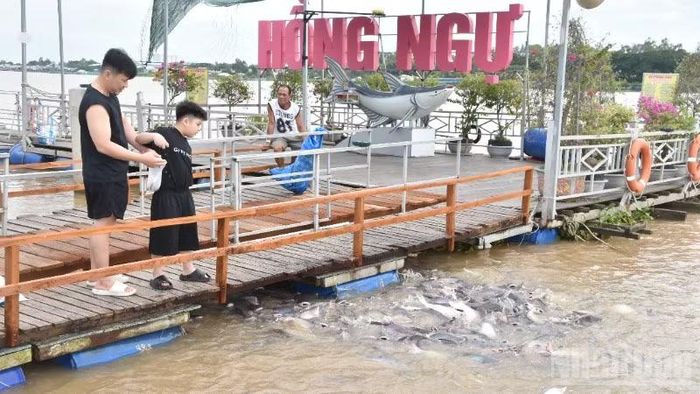 Lượng cá sinh sống tự nhiên nơi đây là rất lớn.
