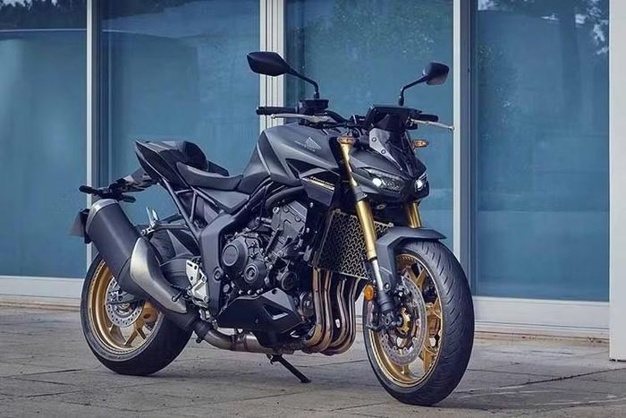 Đối với mẫu Honda CB1000 Hornet, đợt triệu hồi này có liên quan đến hai vấn đề.