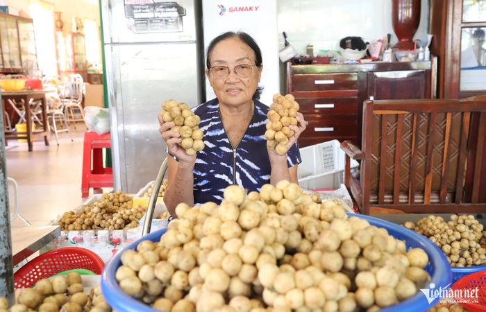 Mẹ của anh Khâm sẽ trực tiếp phân loại, lựa bòn bon