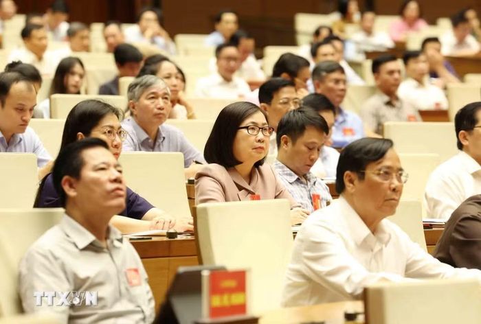 Đại biểu dự hội nghị tại điểm cầu trung tâm - Hội trường Diên Hồng, Nhà Quốc hội (Hà Nội). (Ảnh: Phương Hoa/TTXVN)