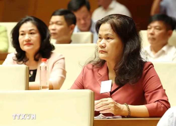 Đại biểu dự hội nghị tại điểm cầu trung tâm - Hội trường Diên Hồng, Nhà Quốc hội (Hà Nội). (Ảnh: Phương Hoa/TTXVN)