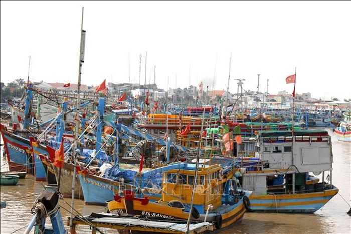 Tàu cá neo đậu trên sông Cà Ty (phường Phan Thiết, Lâm Đồng) để phòng tránh thời tiết xấu.