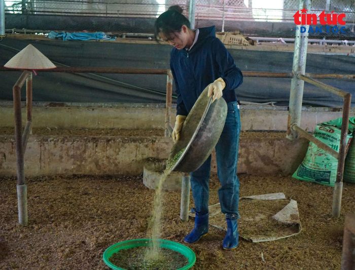Mô hình chăn nuôi gà theo hướng sinh học giúp nhiều hộ dân giảm chi phí, nâng cao thu nhập và thích ứng với biến đổi khí hậu.