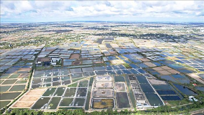 Cà Mau xác định phát triển thủy sản ứng dụng công nghệ cao là một trong những giải pháp trọng tâm nhằm nâng cao năng suất, chất lượng, giá trị gia tăng và sức cạnh tranh của ngành hàng thủy sản.
