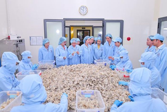 Đoàn công tác tham quan khu chế biến.