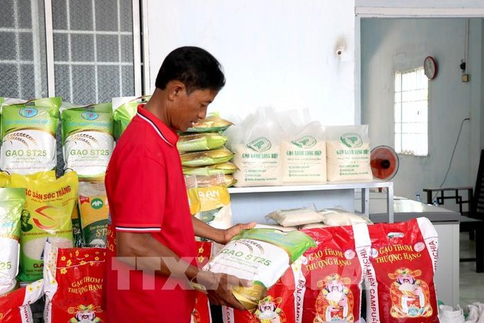 Ông Thạch Khone, Hợp tác xã Nông nghiệp hữu cơ Long Hiệp, xã Long Hiệp, tỉnh Vĩnh Long, giới thiệu sản phẩm gạo của hợp tác xã. Ảnh: Thanh Hòa - TTXVN