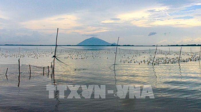 Tình trạng xâm lấn, chăn nuôi gia cầm trái phép tại khu vực lòng hồ Dầu Tiếng. Ảnh: Minh Phú – TTXVN