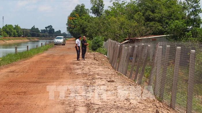 Khu vực đất dự phòng thuộc phạm vi Nhà nước giao Công ty TNHH MTV Khai thác thủy lợi Miền Nam quản lý, nơi phát sinh một số trường hợp sử dụng đất không đúng quy định. Ảnh: Minh Phú - TTXVN 