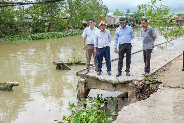 Ông Nguyễn Tấn Nhơn (thứ hai, từ phải sang), Phó Giám đốc Sở Nông nghiệp và Môi trường thành phố Cần Thơ, khảo sát điểm sạt lở bờ rạch Mang Cá gần UBND xã Đại Hải. Ảnh: Thanh Liêm - TTXVN