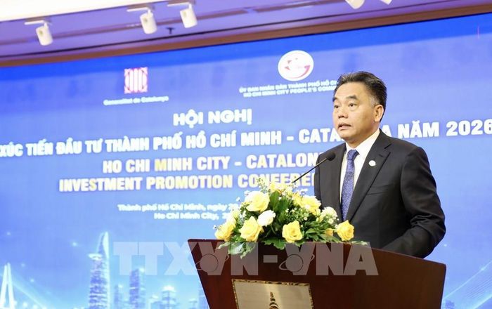 Ông Nguyễn Lộc Hà, Phó Chủ tịch Thường trực UBND TP.Hồ Chí Minh phát biểu tại hội nghị. Ảnh: Xuân Anh - TTXVN