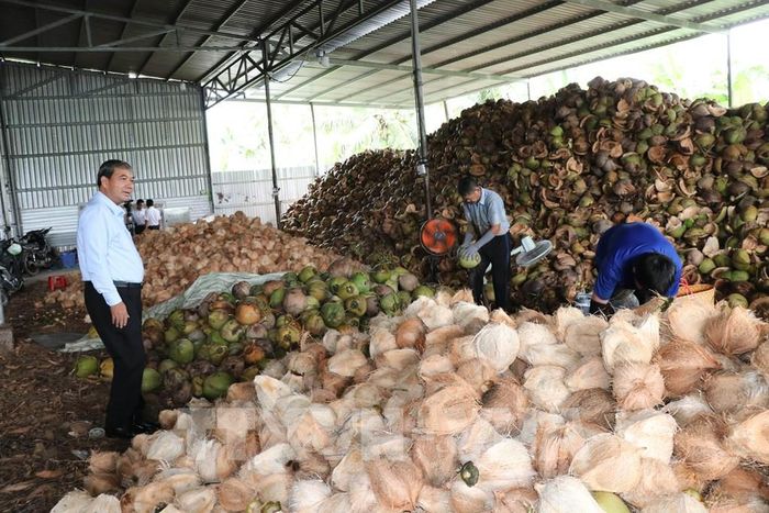 Phó Bí thư Tỉnh ủy, Chủ tịch Ủy ban MTTQ Việt Nam tỉnh Vĩnh Long Kim Ngọc Thái (bìa trái) khảo sát tình hình hoạt động tại Hợp tác xã nông nghiệp Vạn Hưng, xã Bình Phú. Ảnh: Thanh Hòa - TTXVN
