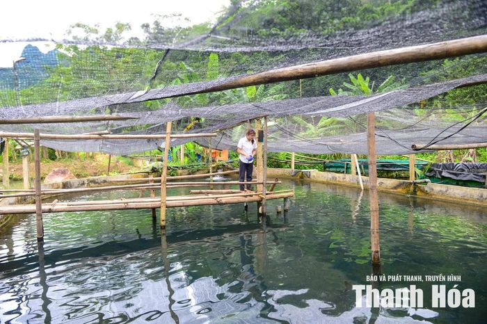Ý tưởng ấy khi đó được nhiều người xem là quá mạo hiểm. Bởi ở Sơn Điện chưa từng có tiền lệ nuôi cá tầm, trong khi đây là loài cá đặc biệt nhạy cảm với nhiệt độ và chất lượng nguồn nước. Chỉ một biến động nhỏ cũng có thể khiến cả đàn cá chết trắng.